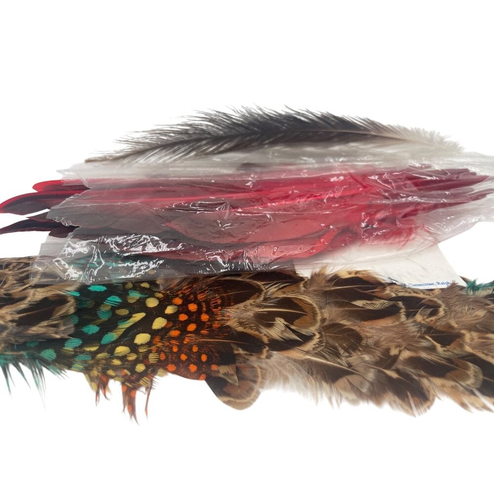 Mixed Craft Feathers For DIY Projects - Assorted Colors & Textures
